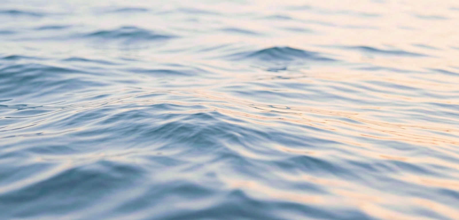 Representación de equilibrio